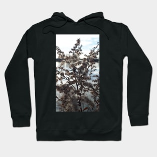 Wild flower Hoodie